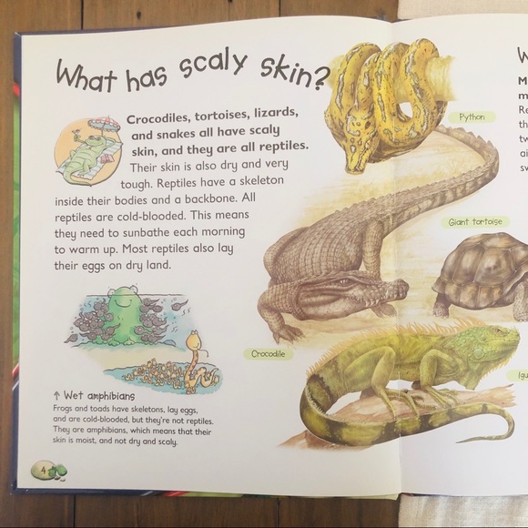 Hardcover “Ask Me” Book Series (Lot of 6) - Picture 3 of 5